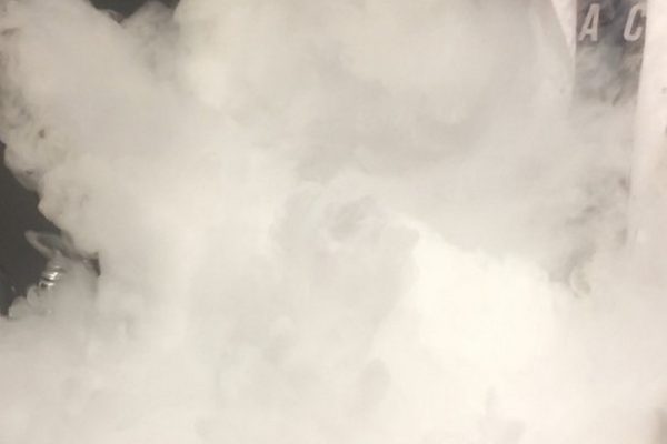 galerija_2019_zinatnessvetki_14