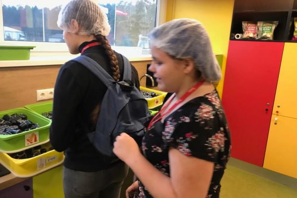 galerija_2019_chipsi_02