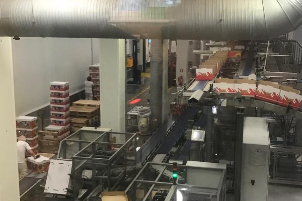 galerija_2019_chipsi_09