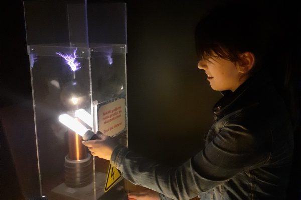 galerija_2020_zinoo_08