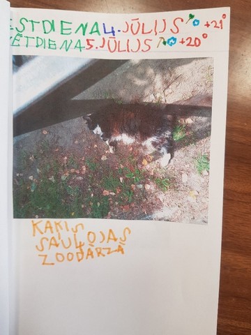 Vladislava lapa ar fotogrāfiju - kaķis sauļojas zoodārzā