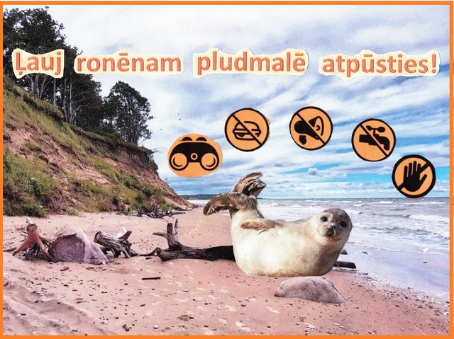 Konkursa plakāts ar tekstu: "Ļauj ronēnam pludmalē atpūsties!", roni, pārsvītrotām lietām, kas roņus var traucēt.