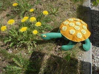 Rotaļu bruņurupucis pļaviņā osta pienenes.
