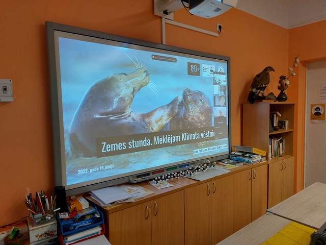 Uz interaktīvās tāfeles tiek rādīti roņi