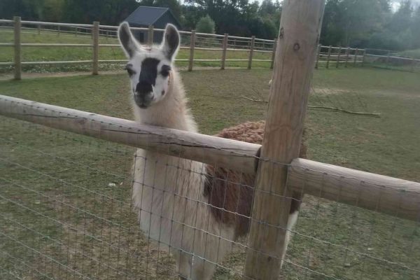 galerija_2022_sigulda4_15