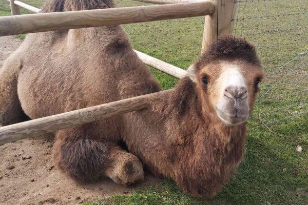 galerija_2022_sigulda4_16