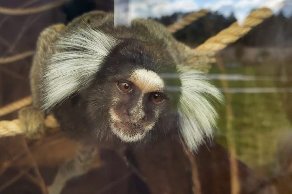 galerija_2022_sigulda4_17