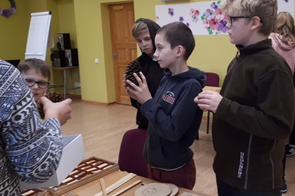 galerija_2022_koks_3