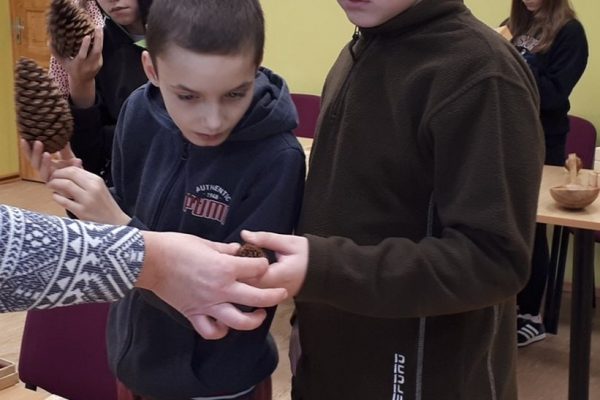 galerija_2022_koks_4