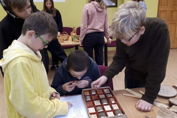 galerija_2022_koks_5