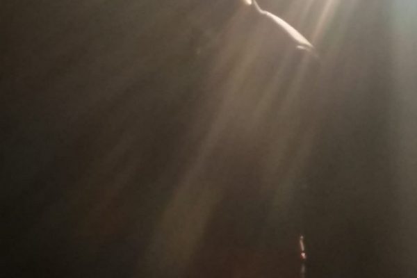 galerija_2022_lacplesadiena_07