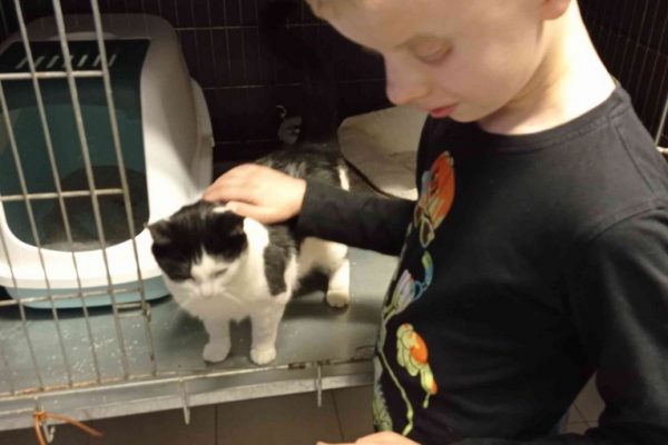 galerija_2022_patversme_4