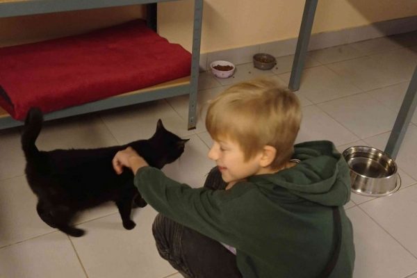 galerija_2022_patversme_5