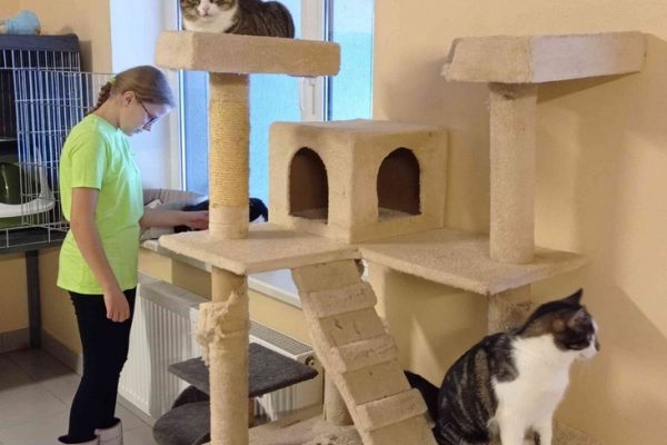 galerija_2022_patversme_6