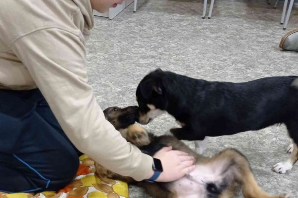 galerija_2022_patversme_7