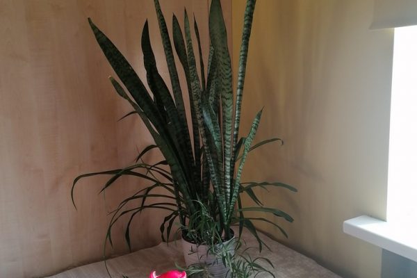 galerija_2023_brivibasgasma_23