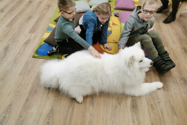 galerija_2023_lasamarsuni_03