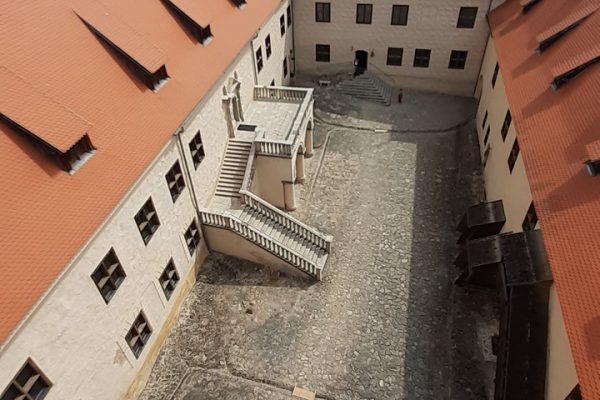 galerija_2023_soma_bauska_6