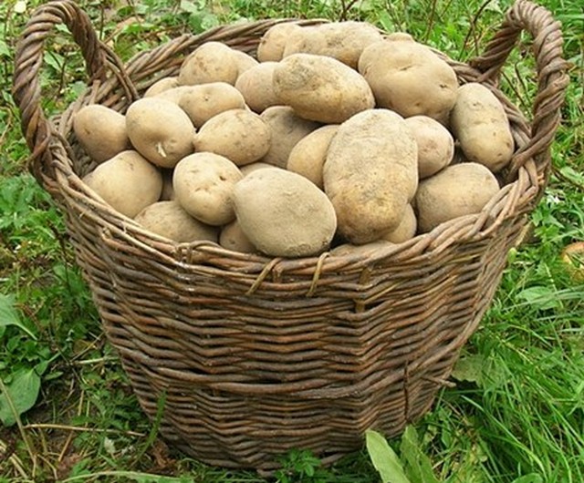 Liels grozs ar kartupeļiem.