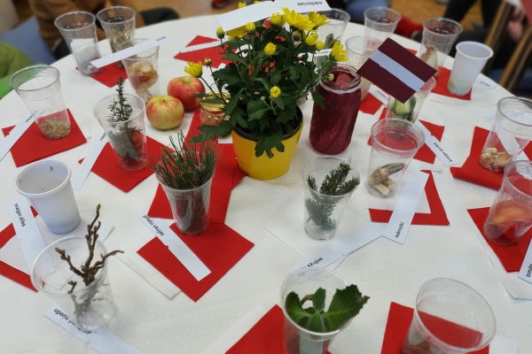 galerija_2023_smarzha_2