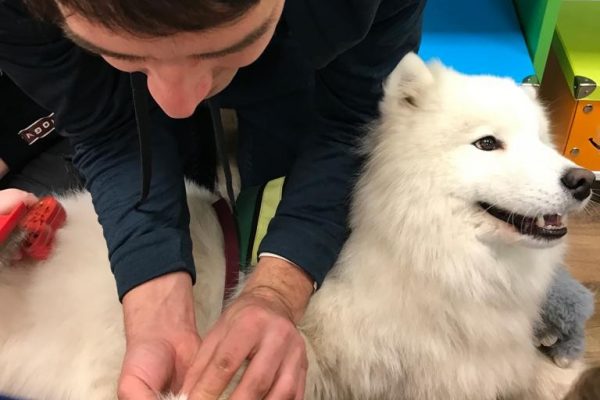 galerija_2023_lasaamarsuni_16