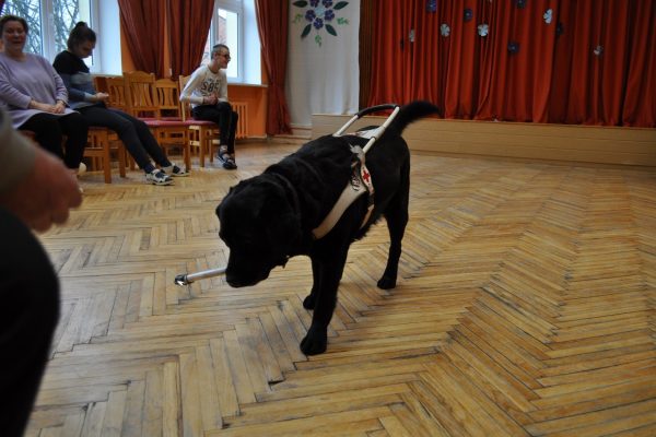 galerija_2024_pavadonis_10