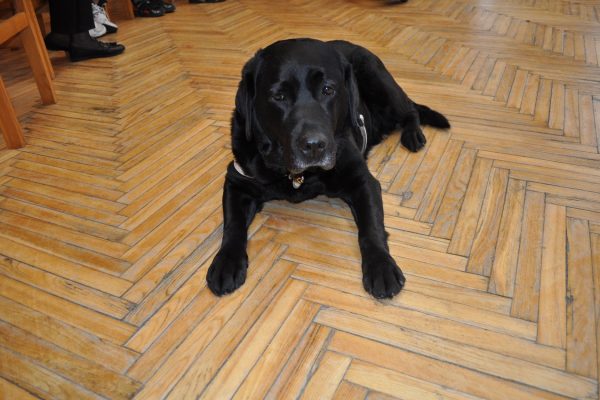 galerija_2024_pavadonis_14