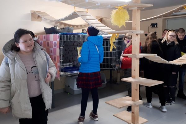 galerija_2024_labasmajas_05