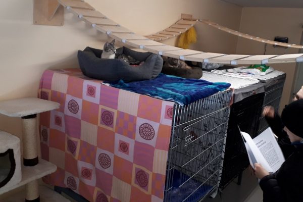 galerija_2024_labasmajas_13