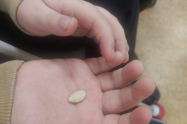 galerija_2024_darzadarbi_03