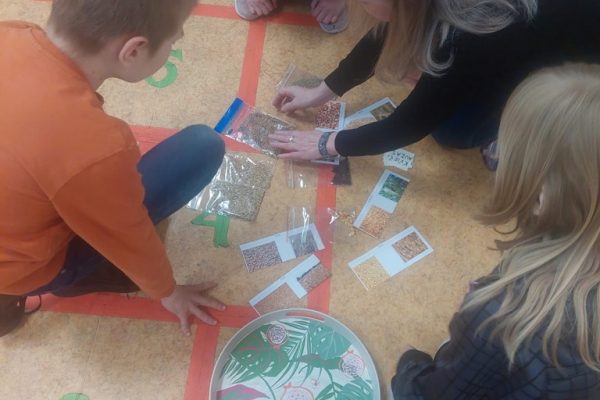 galerija_2024_darzadarbi_04