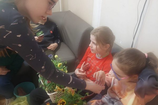 galerija_2024_darzadarbi_06