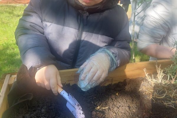 galerija_2024_darzadarbi_07