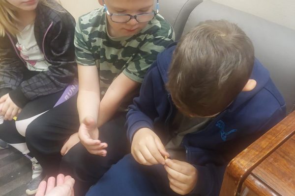 galerija_2024_darzadarbi_09