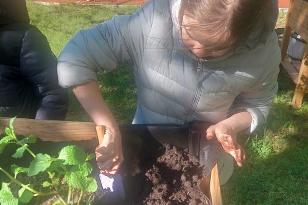 galerija_2024_darzadarbi_10