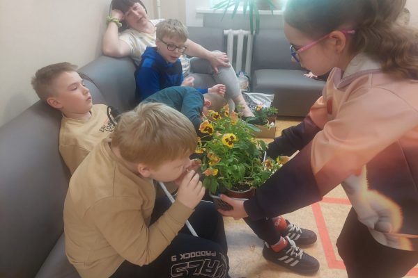 galerija_2024_darzadarbi_13