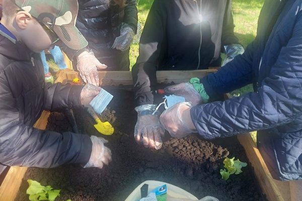 galerija_2024_darzadarbi_14