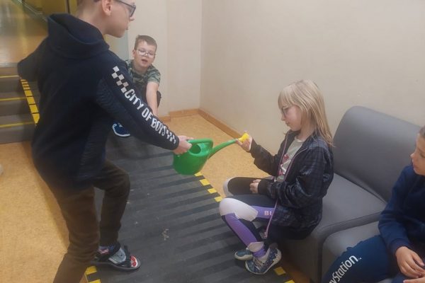 galerija_2024_darzadarbi_15