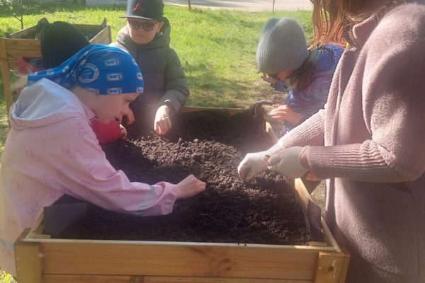 galerija_2024_darzadarbi_20