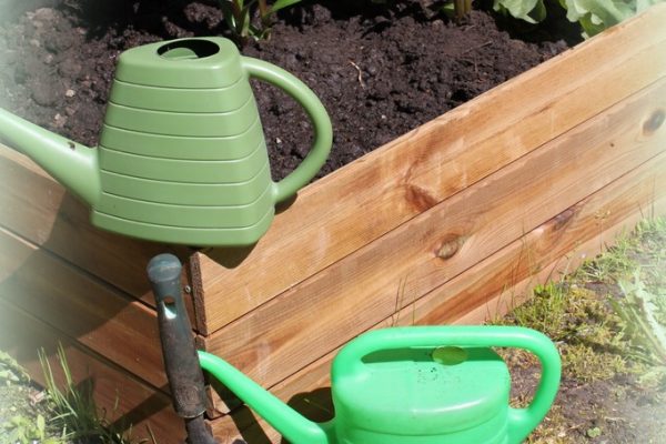 galerija_2024_pavasaris_02