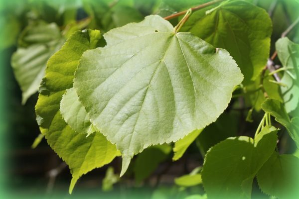 galerija_2024_pavasaris_03