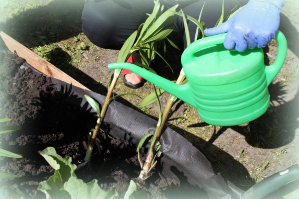 galerija_2024_pavasaris_09