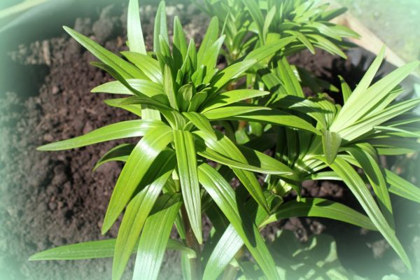 galerija_2024_pavasaris_10