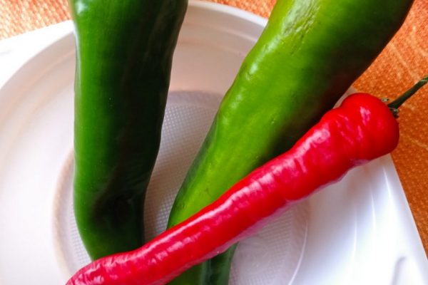 galerija_2024_darzenuizstade_04