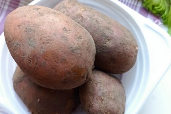 galerija_2024_darzenuizstade_05