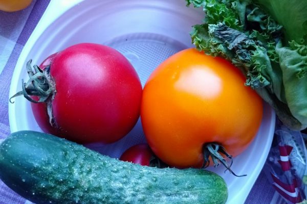 galerija_2024_darzenuizstade_06