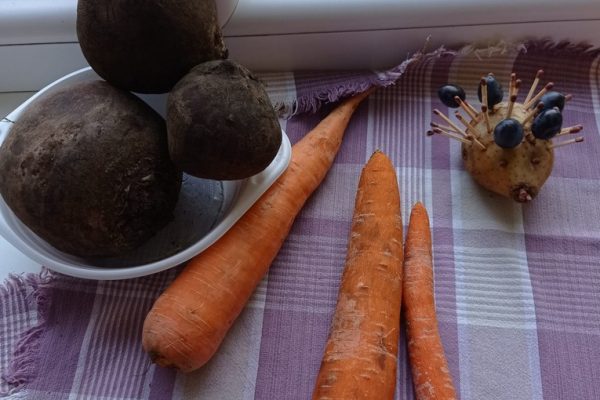 galerija_2024_darzenuizstade_07