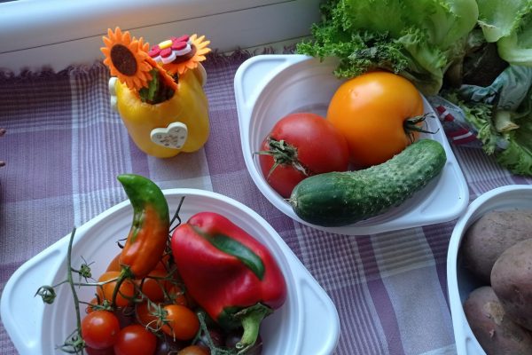 galerija_2024_darzenuizstade_08