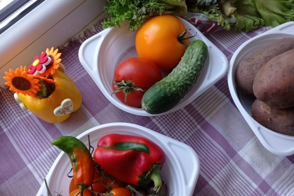 galerija_2024_darzenuizstade_09