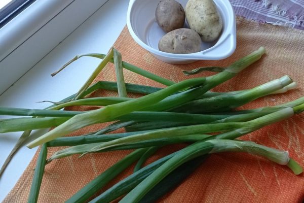 galerija_2024_darzenuizstade_10